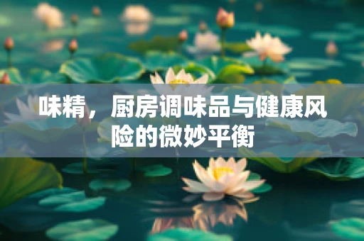 味精，厨房调味品与健康风险的微妙平衡