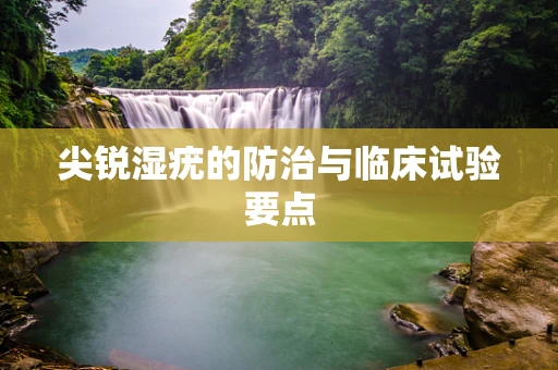 尖锐湿疣的防治与临床试验要点