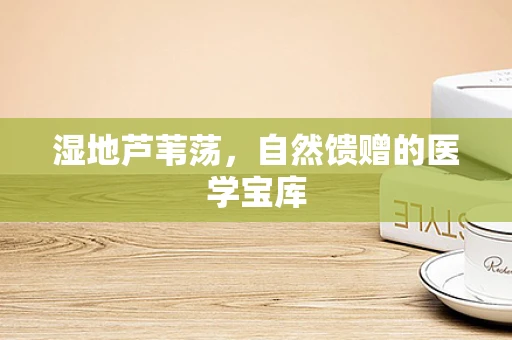 湿地芦苇荡，自然馈赠的医学宝库