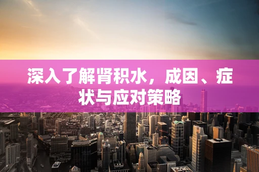 深入了解肾积水，成因、症状与应对策略