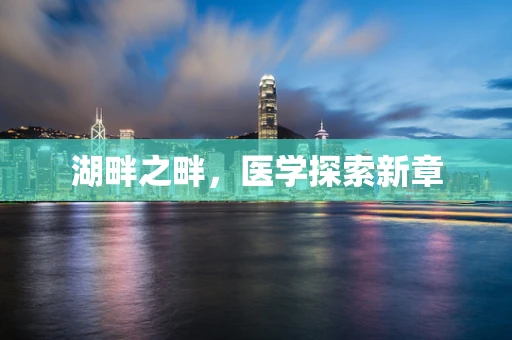 湖畔之畔，医学探索新章