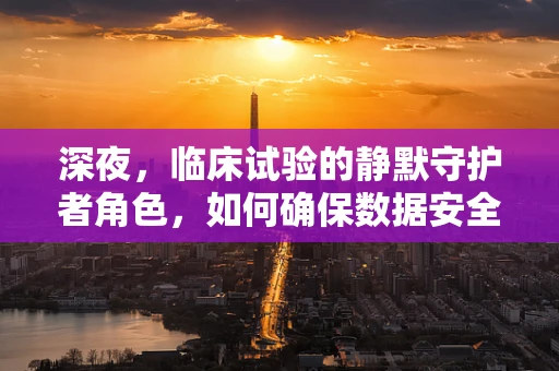 深夜，临床试验的静默守护者角色，如何确保数据安全与受试者安全？
