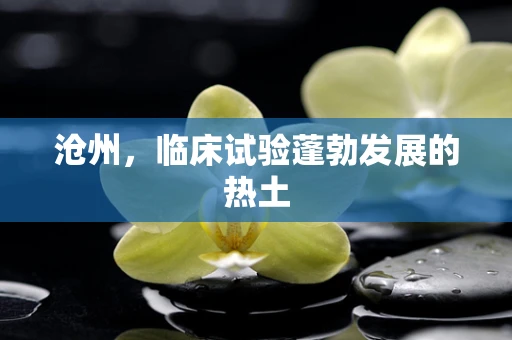 沧州，临床试验蓬勃发展的热土