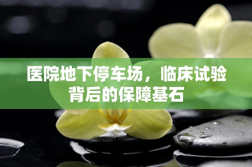 医院地下停车场，临床试验背后的保障基石