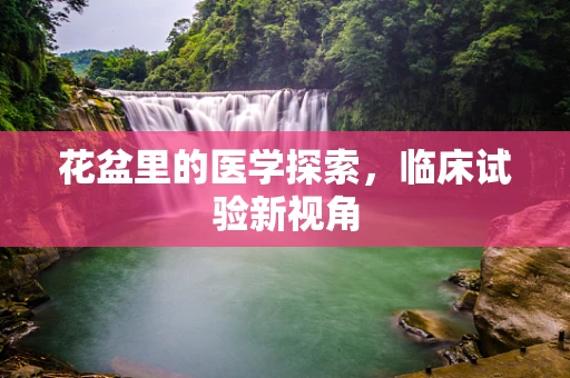 花盆里的医学探索，临床试验新视角