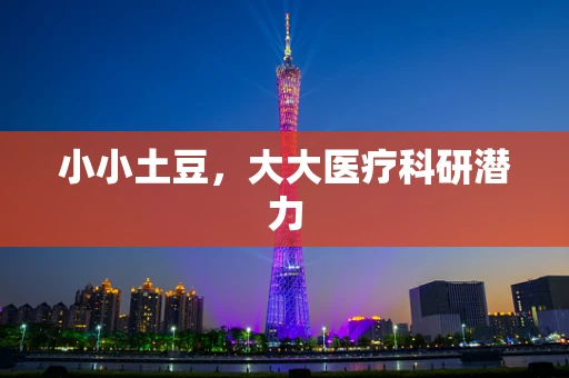 小小土豆，大大医疗科研潜力