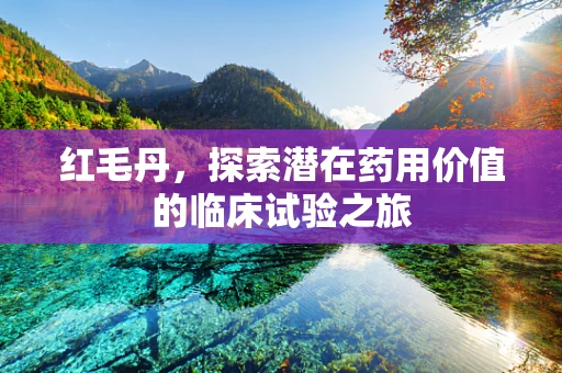 红毛丹，探索潜在药用价值的临床试验之旅