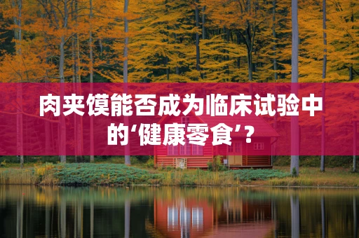 肉夹馍能否成为临床试验中的‘健康零食’？